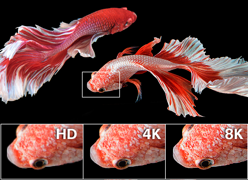 4 K 8 K visual explanation of pixel differences 850x615